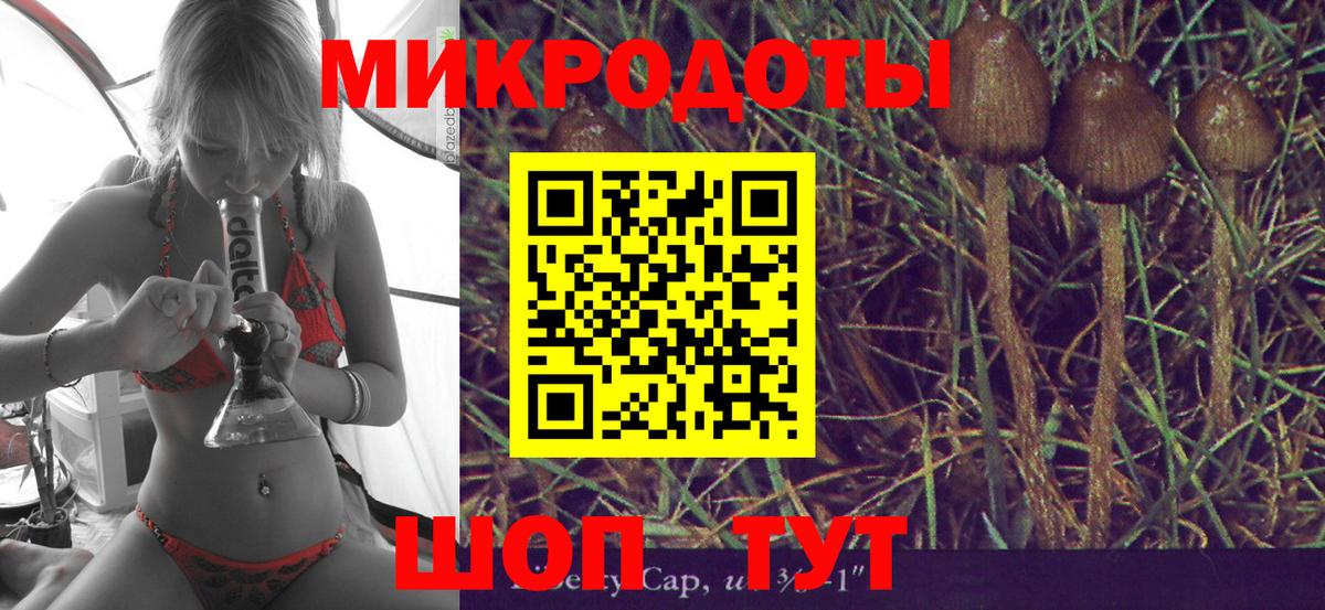 Красногорск  Псилоцибиновые грибы Psilocybe  Вход с VPN 