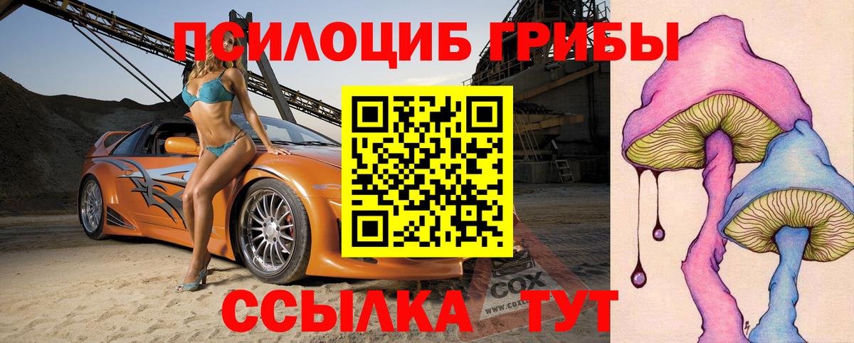 Псилоцибиновые грибы Cubensis Красногорск